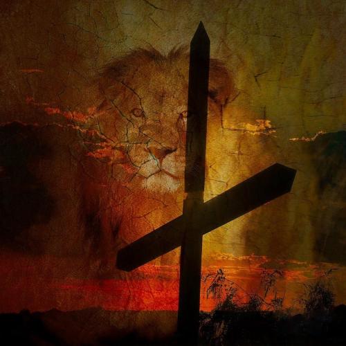 let-the-lion-roar-in-your-life-