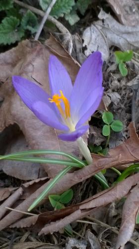 WP_20220305_16_59_40_Pro