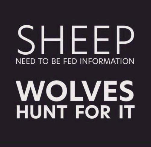 36ab0771-3983-4fdb-af90-1ff9d5e59462d