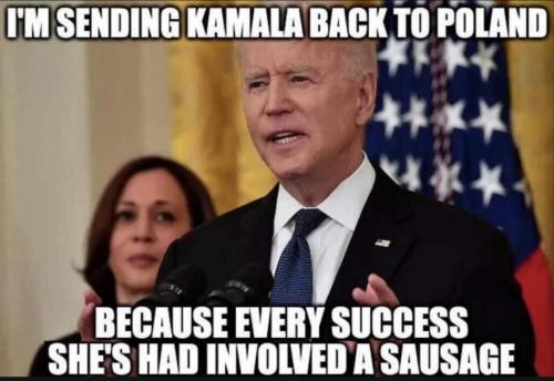 bidenhohosausage