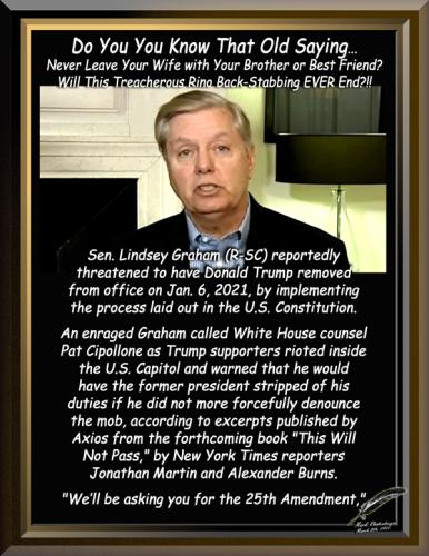 Lindsey Graham The Rino