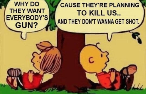 2nd amendment charlie brown