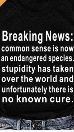 6db6d222-beac-49bb-8496-aa28c9edd876d