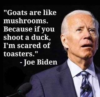 Joe Biden Idiot