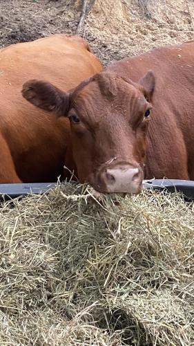 47B4617B-1563-4B56-995B-92A38390533E