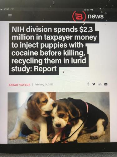 A2BA1BB8-6DF3-44D2-8AC6-B33322C9B869