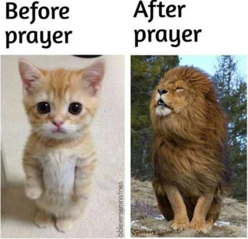 b0520a202cf48dea8f4c83e75c5812d0