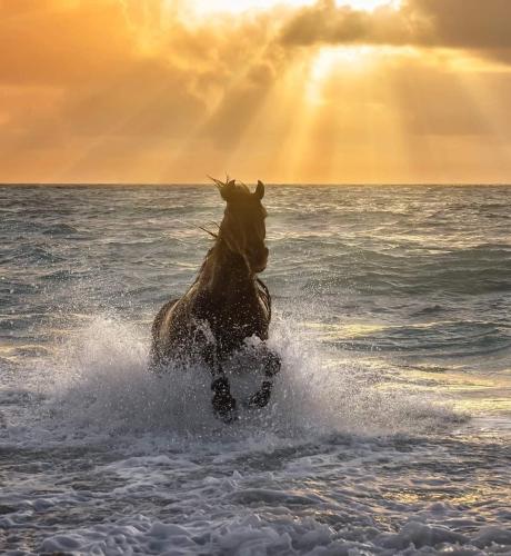 B9FC9BAA-DA02-4B88-9F3D-E53FC475921A