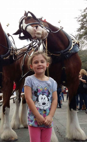 Dad takes photo of little girl posing with horse, takes a closer look and is in stitches