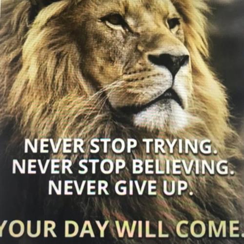 F9E5BBE0-B6D5-4842-8B8B-7C5D2D1A9678