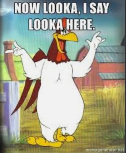 f91841f1693da4b3a1108dd9e27334f1_500