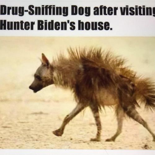 AAD9AB64-665B-47C3-9FF3-F0BD7FF0821B