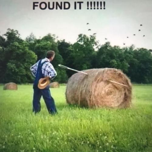 98FDC430-D426-4486-A512-65A4304AF4A2