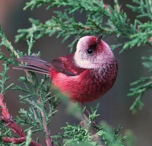 0292BF91-F86E-4899-8705-67AE7AC271A0