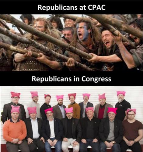 Rep CPAC