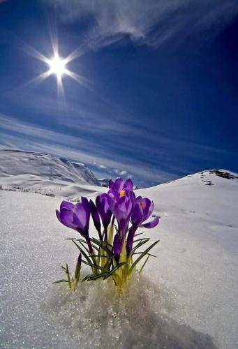 FB_IMG_1616076404926