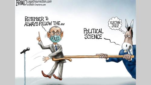 FAUCI WU-FLU  POLITCAL SCIENCE