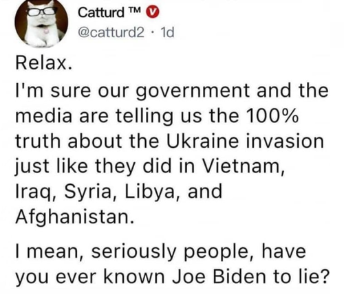 M Catturd