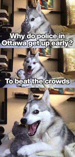 Comedy meme 3.09 a