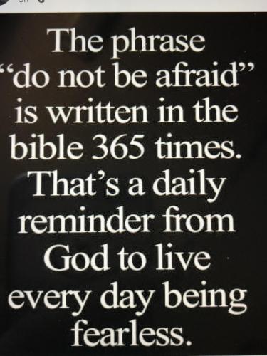 441F0C50-92CE-4EE2-B9CD-92EA8D1385D5