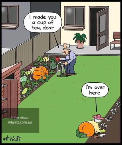 Now That's Funny