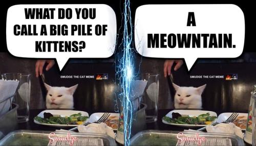 FB_IMG_1648043088608