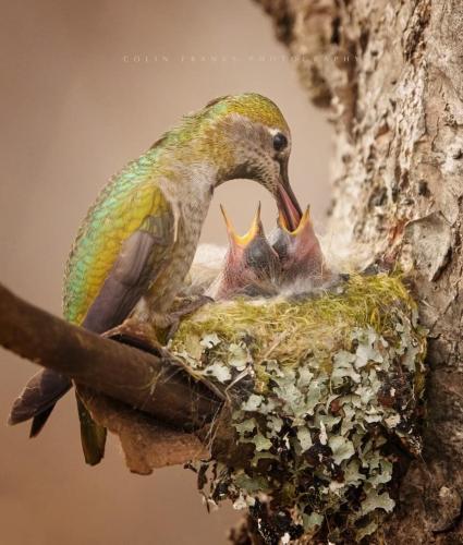 F2F88EDC-A661-463D-83F2-C9724042E615