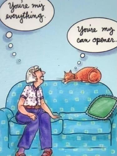 55FB459F-59D0-41BB-8890-FCD016F03F9E