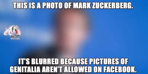 FB_IMG_1646498077088