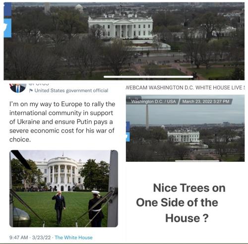 Screenshot_20220324-130022_Twitter