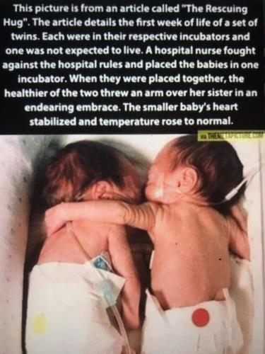 B070F3EE-16D8-4586-9CEB-A3870A842984