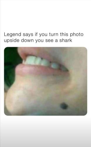 6dc97146-af24-4fa2-95d8-b22d12cc350c