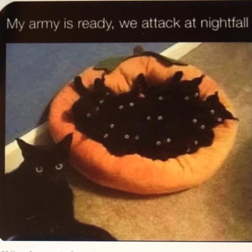 B79B5D23-71E9-45F4-A673-519CF33EFDE8