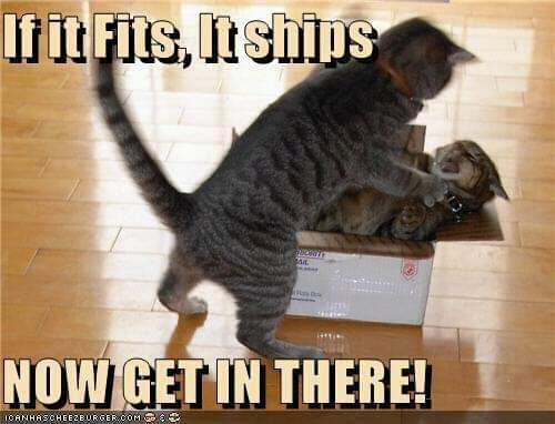 FB_IMG_1612446044942