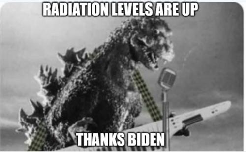 bidengodzillaplayswcap