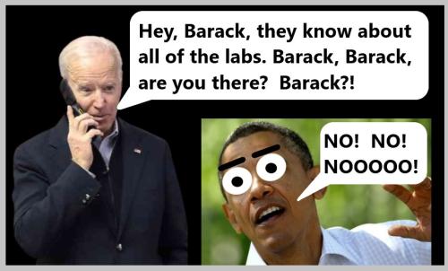 OBAMA-BIDEN-LABS