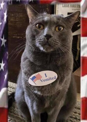 122543242_10224909331826019_2646095372068084319_n