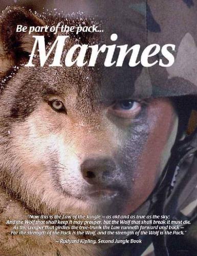 Marines - Wolfpack