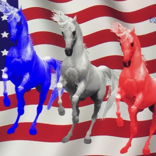 725722EB-F736-4DCE-AD1B-290E03A96139