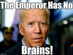 biden's brains