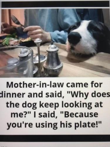 48AE7B87-88C9-49FD-9CA2-5BCF3AC4F616