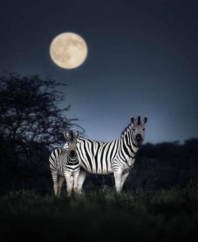 55E7182E-4C6A-44EB-938C-D000C4ADF8A9