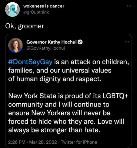 Hochul is a groomer