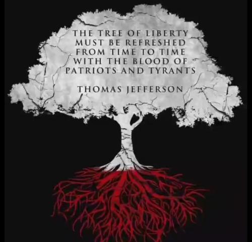 image_1636799960.981