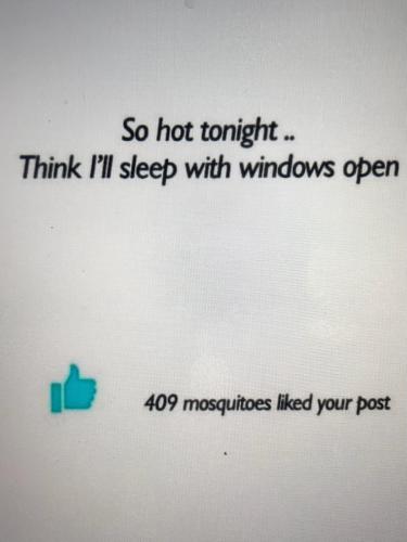 F1F49799-BCE6-4A8B-B8A2-EFD1ED01EB4F