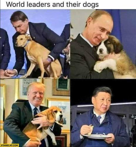 Their Dogs