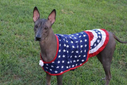 AB913D72-7C2E-4B92-B1E6-7F14B9054B1C