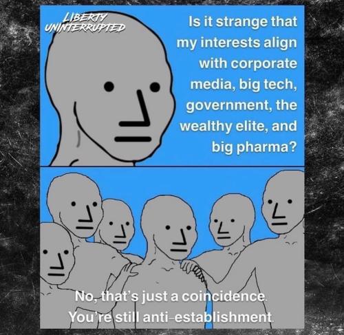 StrangeInterestalignCorporateBigTechGovtElitePharma