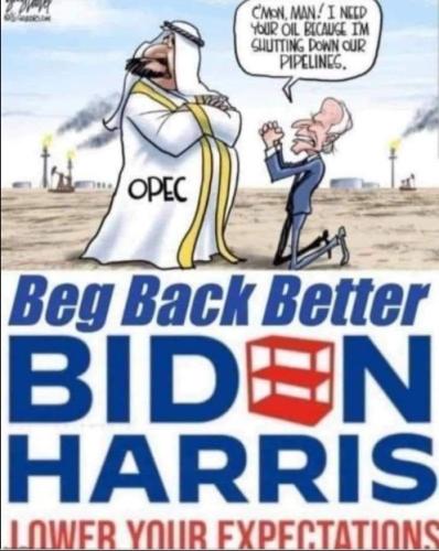 Beg Back Better