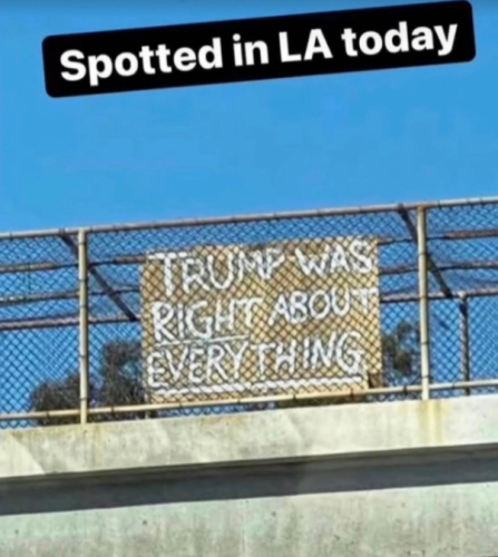 M spotted